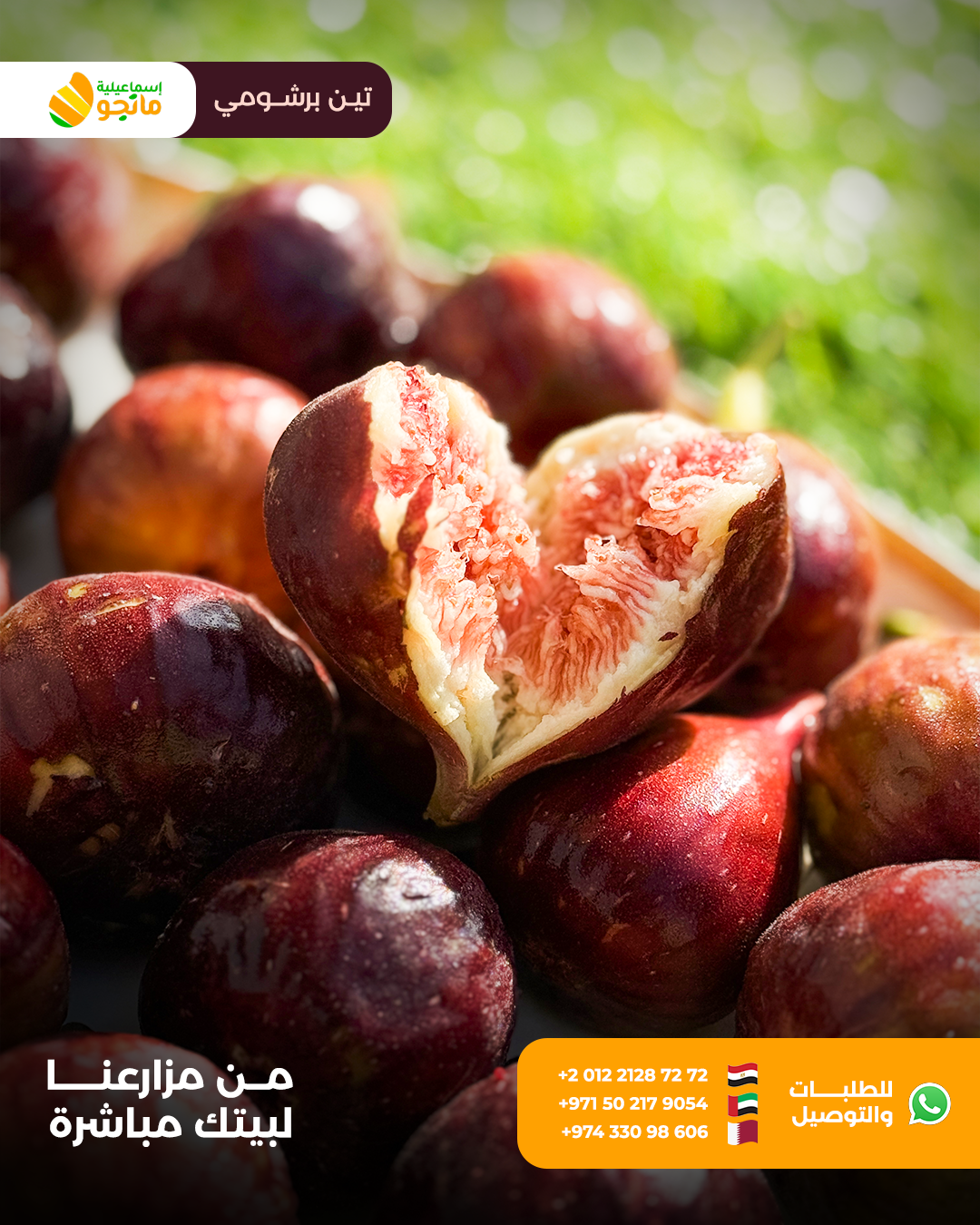 Fig Barshomi