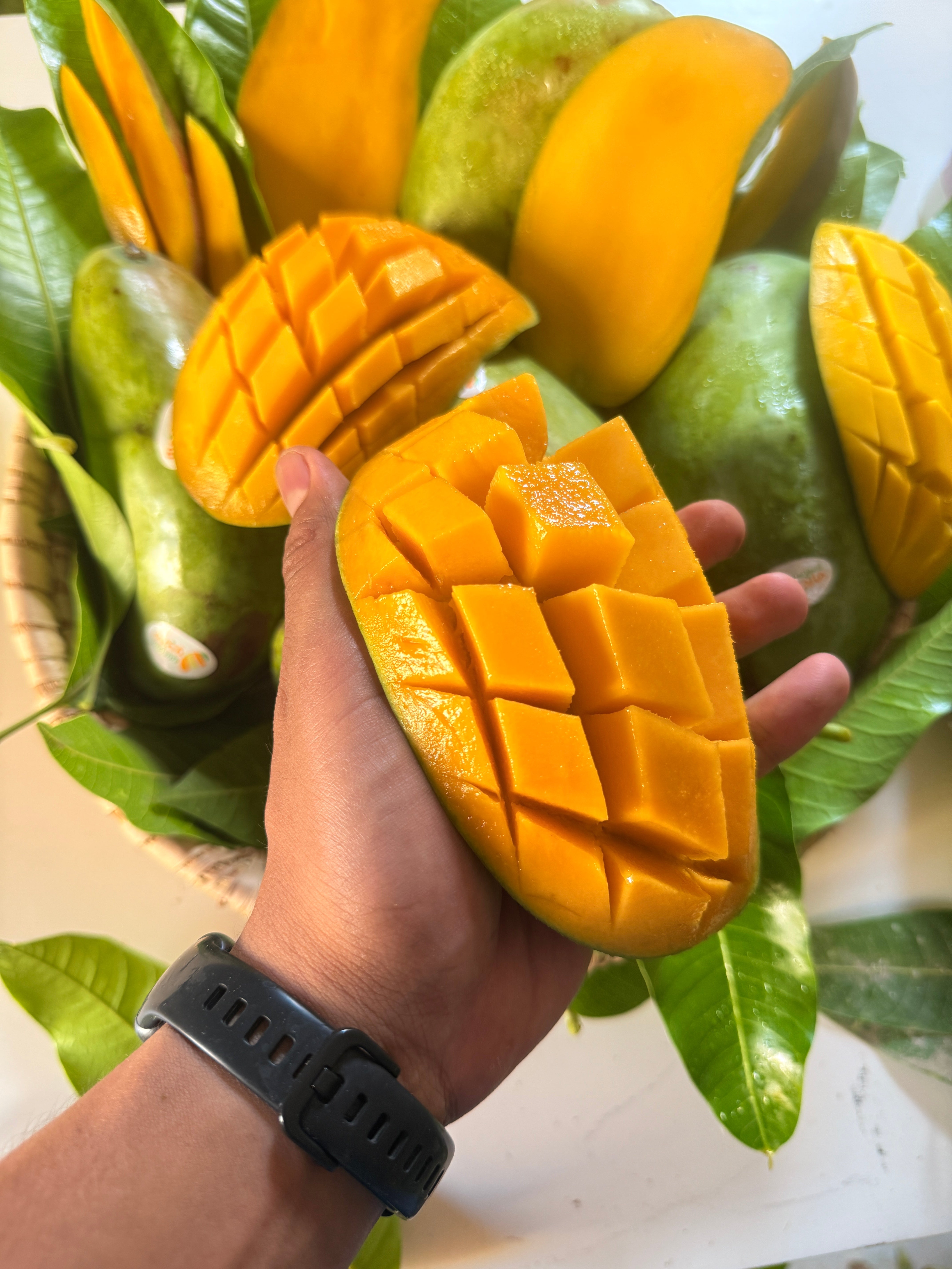 Mango Sediqa