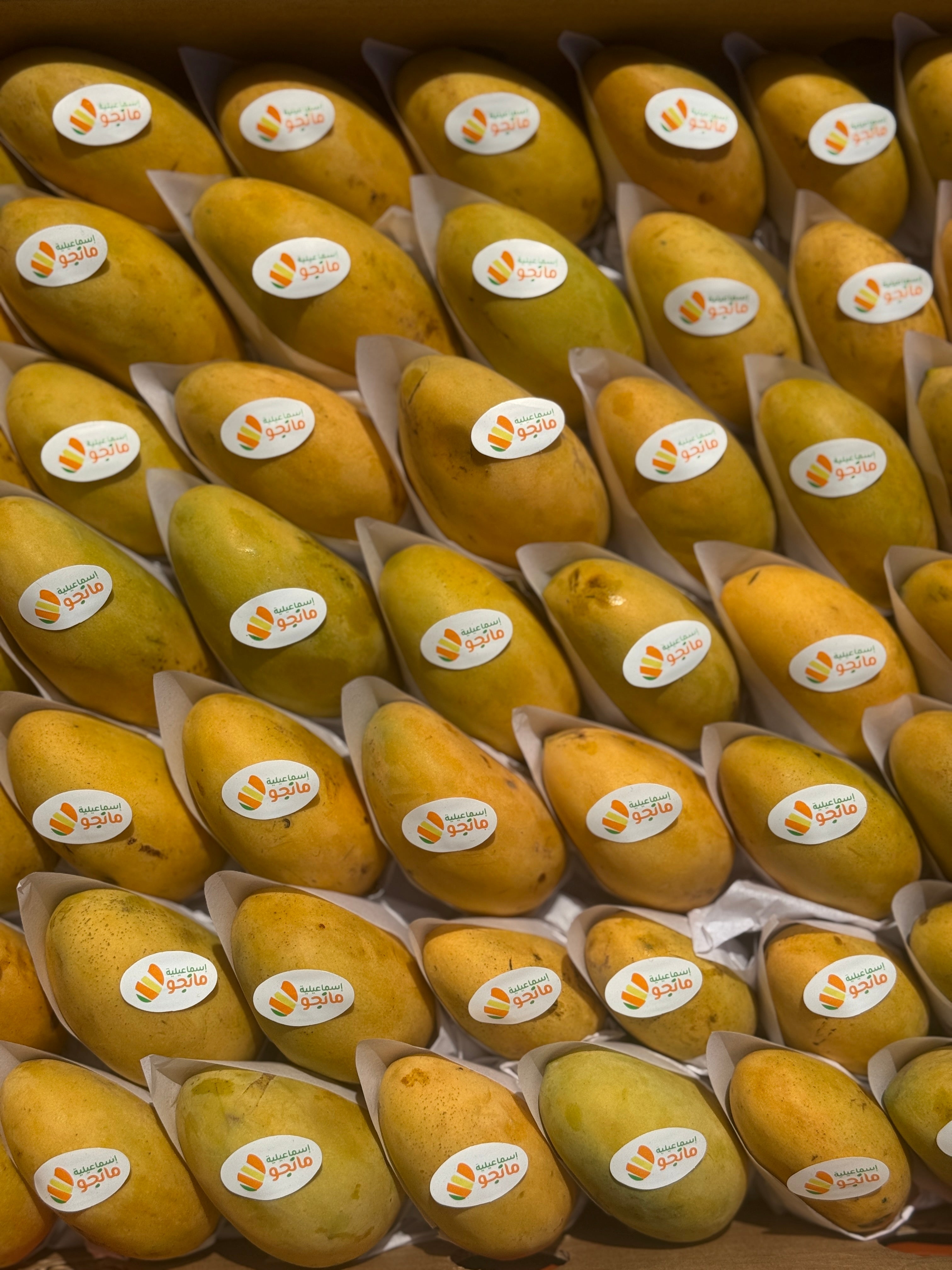 Mango Fas