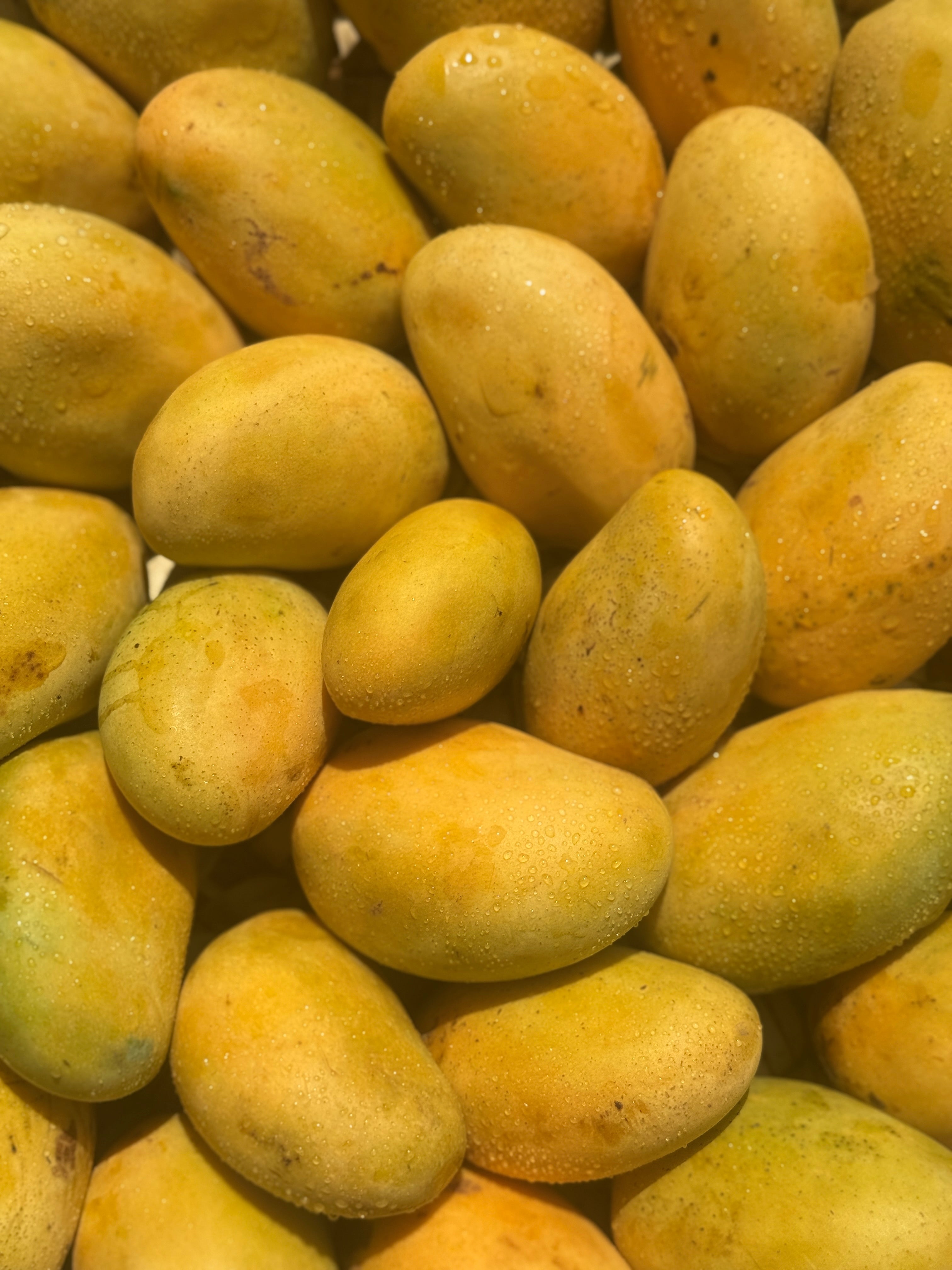 Mango Fas