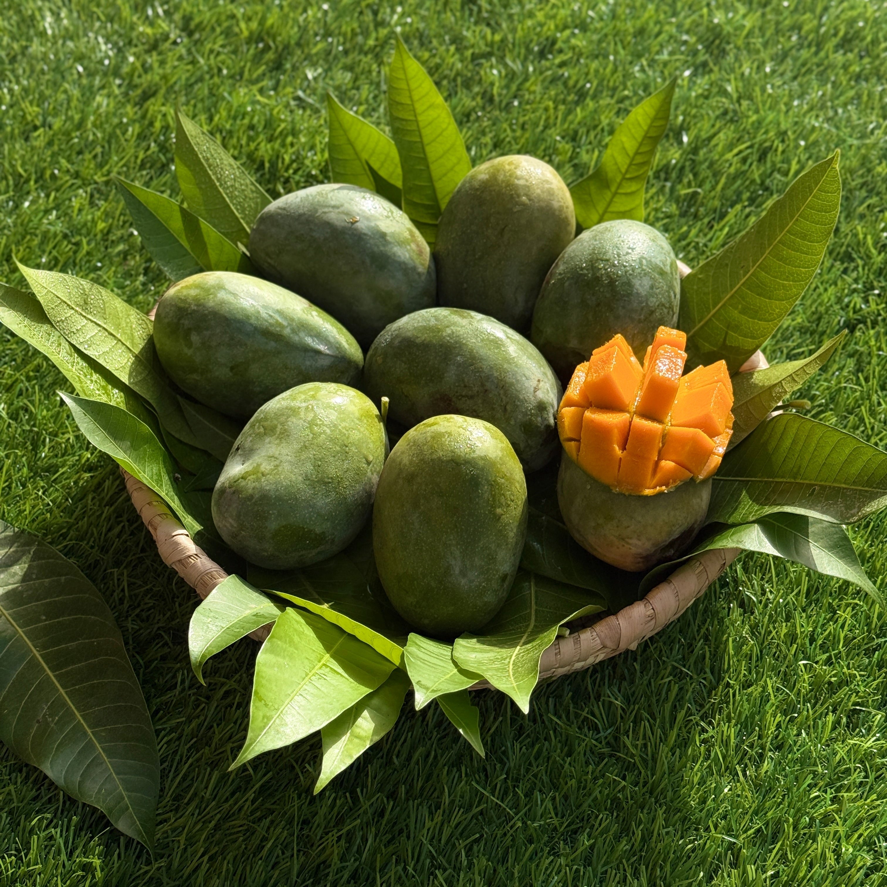 Mango Hindi