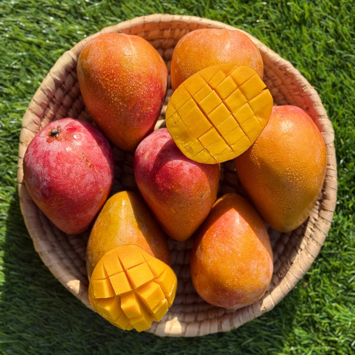 Mango Riyadh