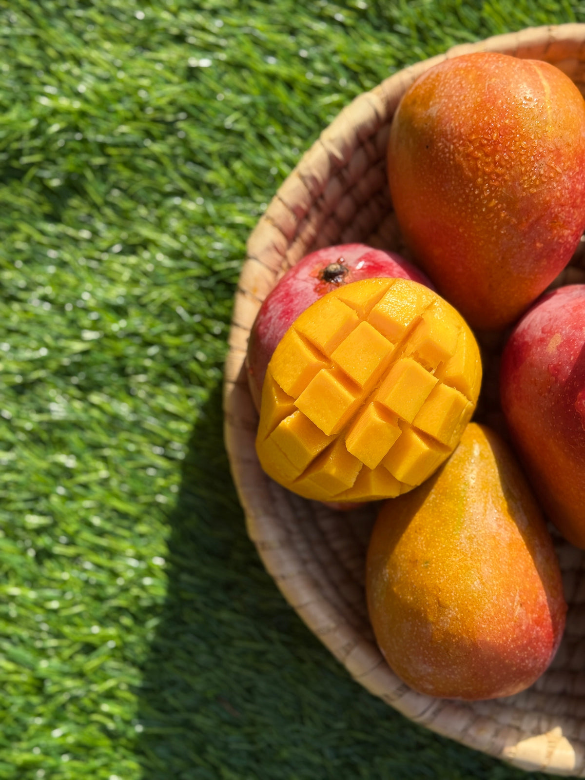 Mango Riyadh