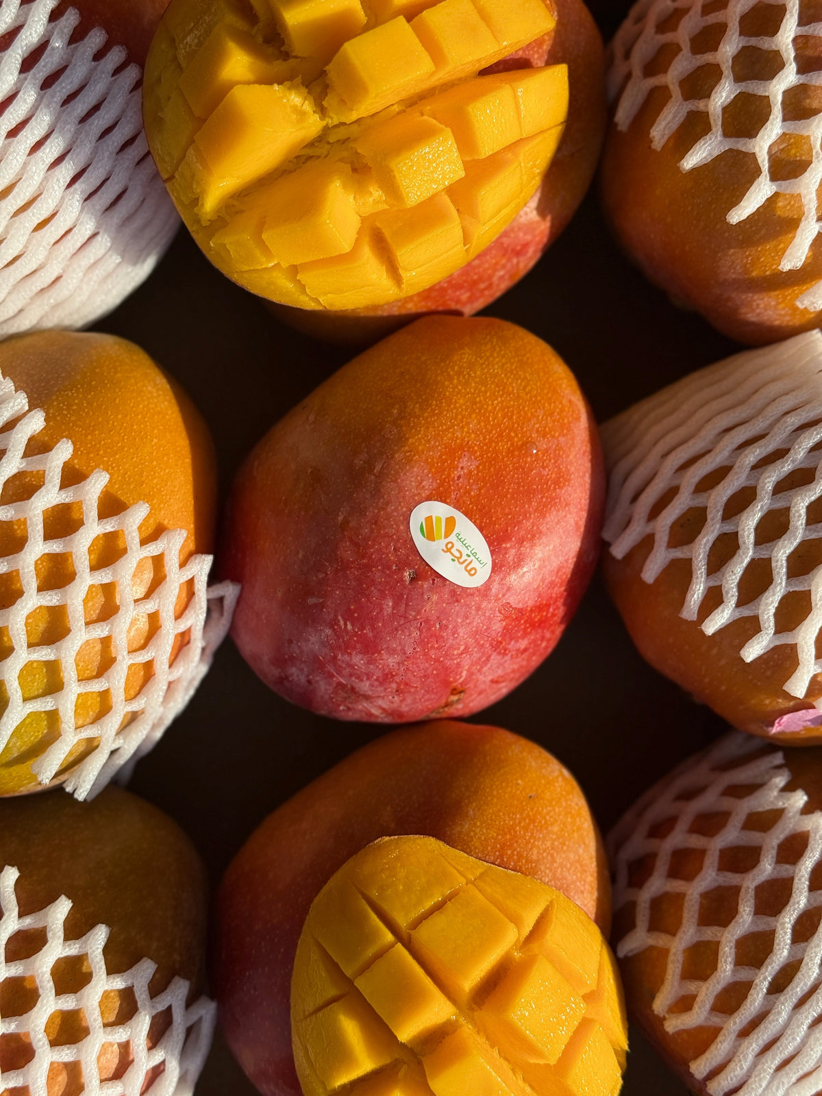 Mango Riyadh
