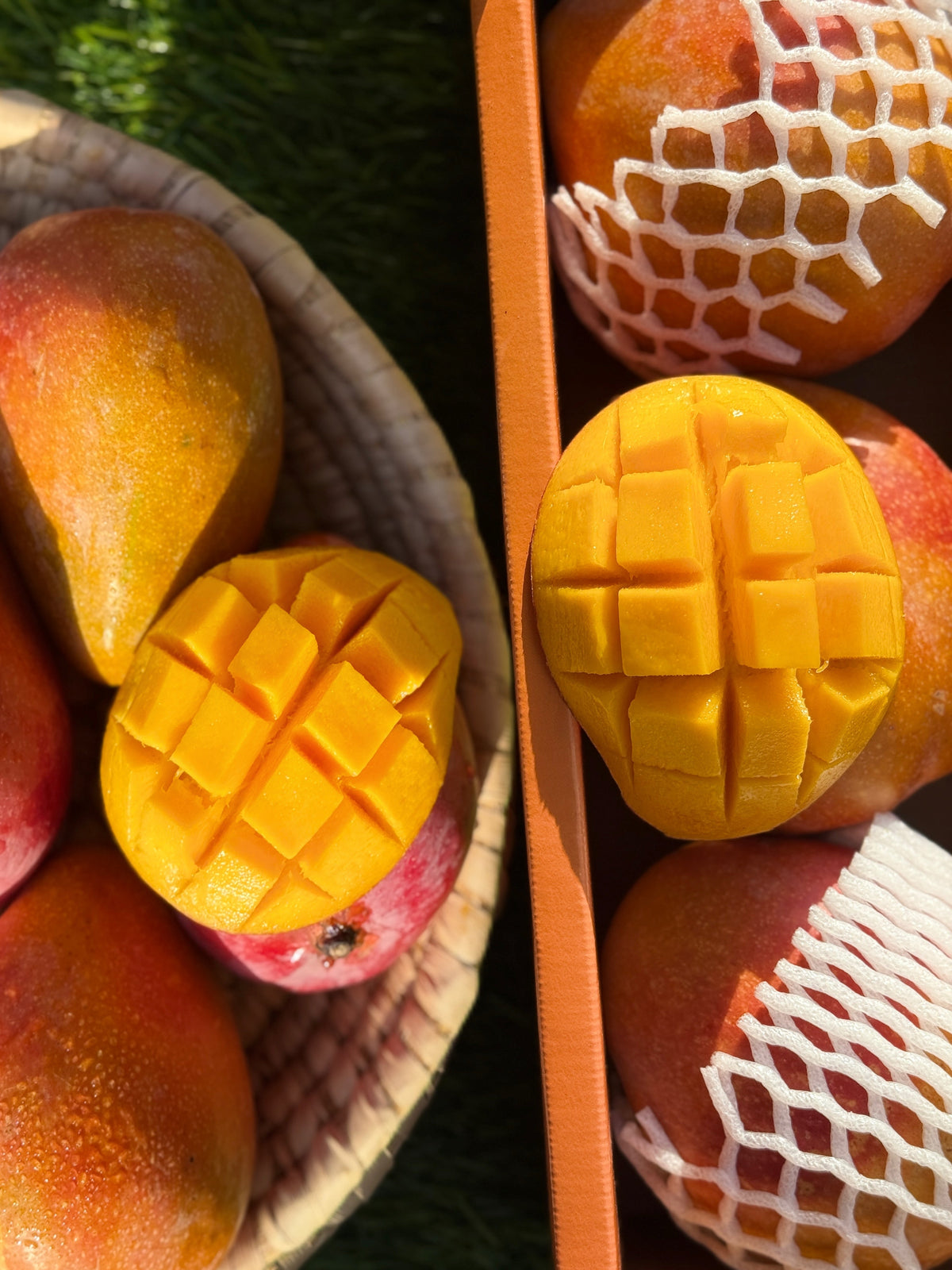 Mango Riyadh
